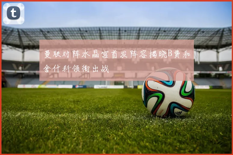 曼联对阵水晶宫首发阵容揭晓B费和舍什科领衔出战