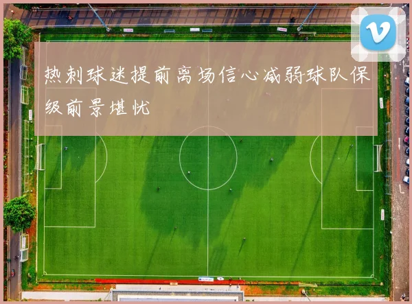 热刺球迷提前离场信心减弱球队保级前景堪忧
