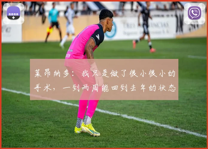 莱昂纳多：我只是做了很小很小的手术，一到两周能回到去年的状态