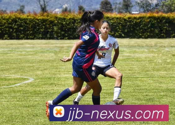 App Interface Preview